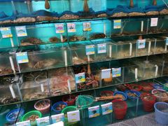 水产区-琼大师东方烤乳猪(亚特兰蒂斯店)