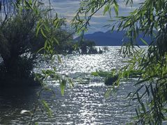 -捞渔河湿地公园