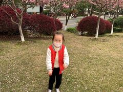 -杭州半山国家森林公园