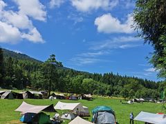 -武陵山森林公园
