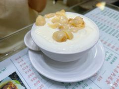 莲子双皮奶冻-义顺牛奶公司(新马路老店)