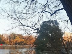 -红梅公园