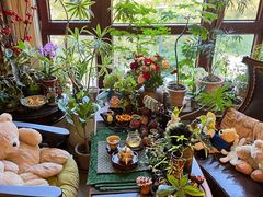 -至美焕新·全屋翻新