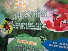 -正佳雨林生态植物园