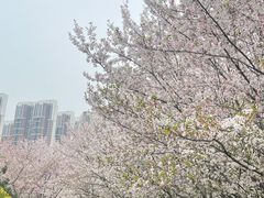 -堤角公园