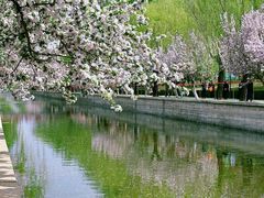 -元大都城垣遗址公园