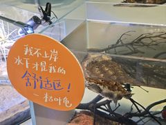-中国湿地博物馆