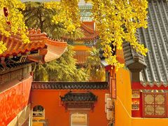 -宝通禅寺