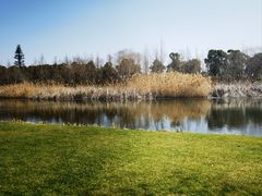 -养云安缦吧THE BAR