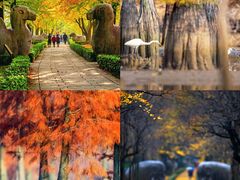 -牛首山文化旅游区