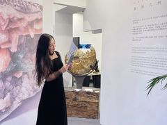 -天津梅江会展中心