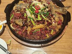 -老板恋上鱼(恒隆广场店)