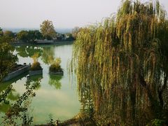 -长安文化生态公园