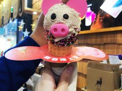 -野人先生现做冰淇淋(北京顺义祥云小镇店)
