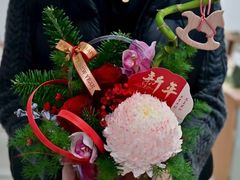 -西南政法大学(渝北校区)