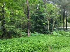 -深圳湾公园(南山区)