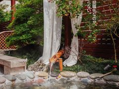 -美的鹭湖森林度假区