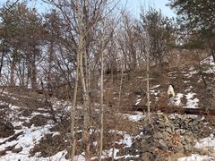 -帽儿山国家森林公园