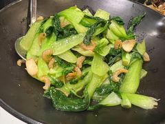 海米油菜-浩运·海鲜青岛菜·海胆水饺(石老人店)