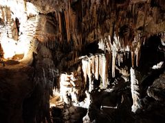 -波斯托伊纳溶洞