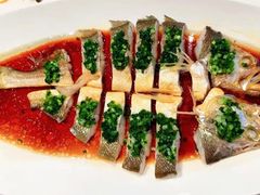 -西郊5号·Maggie 5
