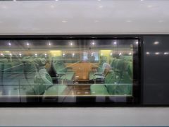 -龙阳路磁悬浮列车总站-停车场