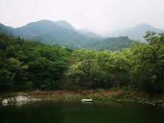 -阳台山自然风景区