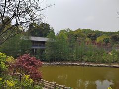 -广州市帽峰山景区