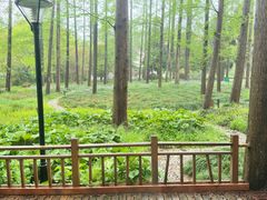 -上海怡沁园度假酒店