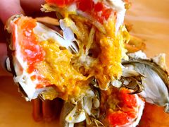 -乡乐园蟹庄·阳澄湖农家乐