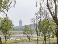 -永定河休闲森林公园