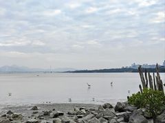 -深圳湾公园(南山区)