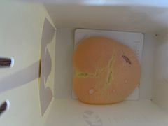 -夏佐CHASEL(横店康庄路店)
