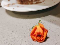 -海底捞火锅(宝龙广场夜宵主题店)