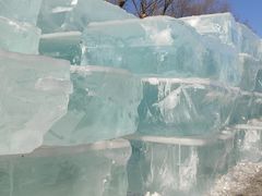 -长春市南湖公园