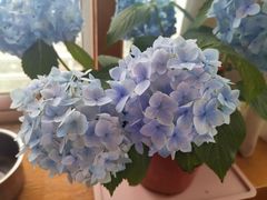 -恒达综合农贸市场(黄山路店)