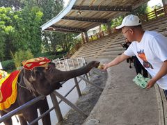 -云南民族村