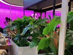 -蔡澜点心·粤菜(西单大悦城店)