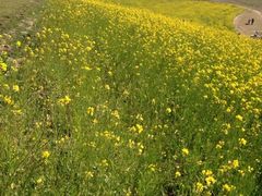 iphone_upload_pic-日月山景区