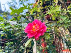 -齐白石旧居纪念馆