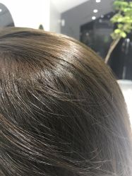 -大象造型