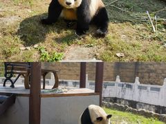 -杭州野生动物世界