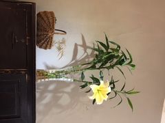 -时间仓(月湖公园店)