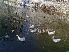 -长白岛森林公园