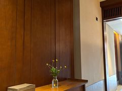 -丽江金茂隐逸酒店-凯悦臻选SPA