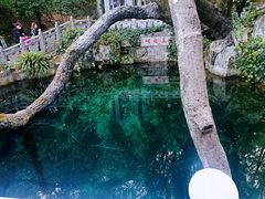 -蝴蝶泉公园