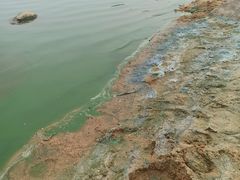 -瑶湖郊野森林公园