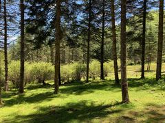 -硗碛藏寨·神木垒景区