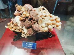 -中国地质大学逸夫博物馆