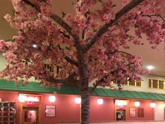 -大江户·温泉洗浴(浑南店)